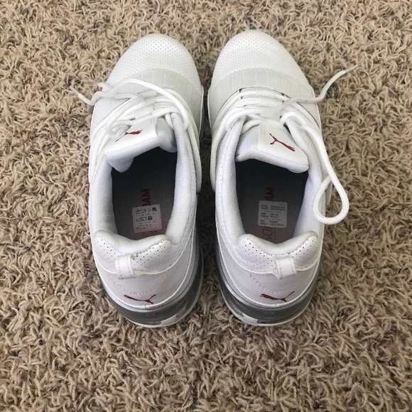 puma cell regulate sl